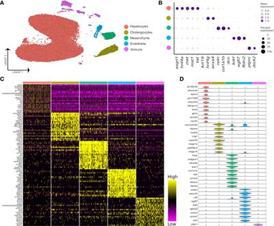 Single cell transcriptomics of Atlantic salmon (Salmo salar L.) liver reveals cellular heterogeneity and immunological responses to challenge by Aeromonas salmonicida